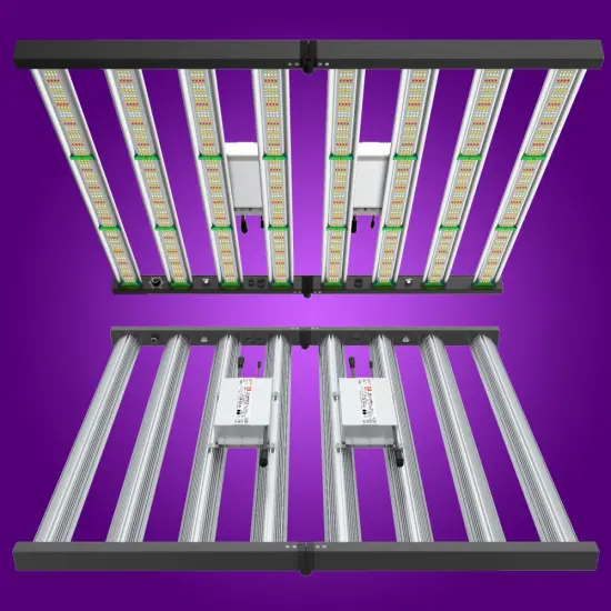 US EU Stock Phlizon 800w 1000w Lm301b