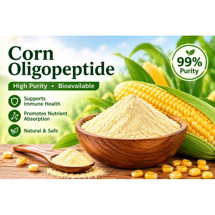Corn Protein Peptide Powder