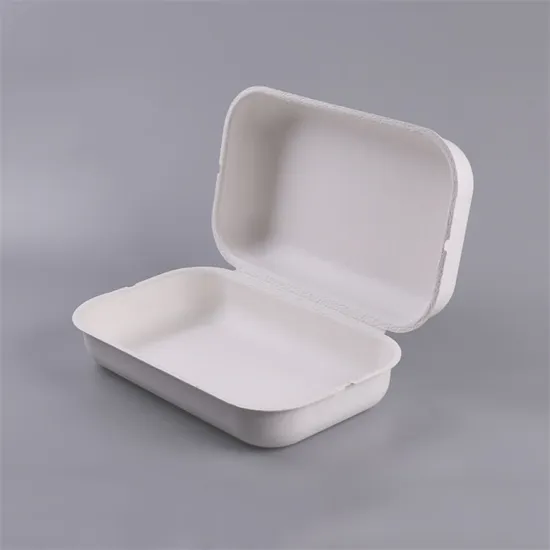 Customized Molded Paper Pulp Clothes Packaging Box