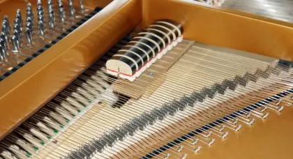 Professional grading piano for sale