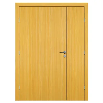 Wood Veneer Hollow Core Doors