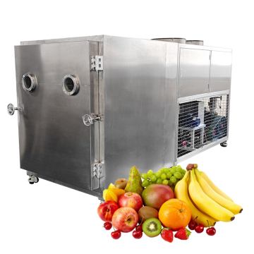 OCEAN Industrial Liquid Lyophilizer Vacuum Freeze Dryer for Jackfruit and Pineapple