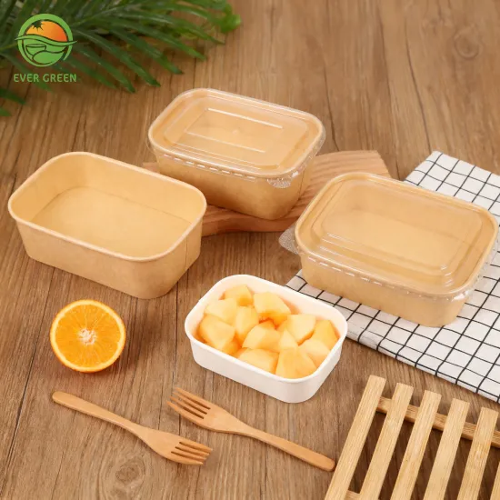 Paper Salad Bento Kraft Box