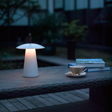 40xSMD 2W LED Outdoor Portable Luminaire 2811