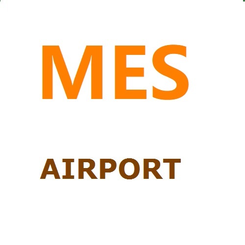 airfreight to INDONESIA including tax and deliver