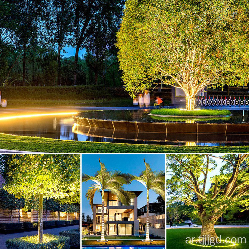 الشجرة التي تحمل مصباح الأرض قابس