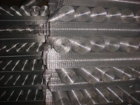 China hengshui Glavanized welded netting (factory)