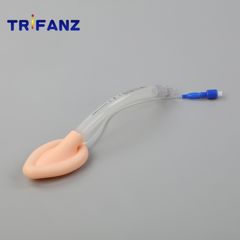 ordinary laryngeal mask airway