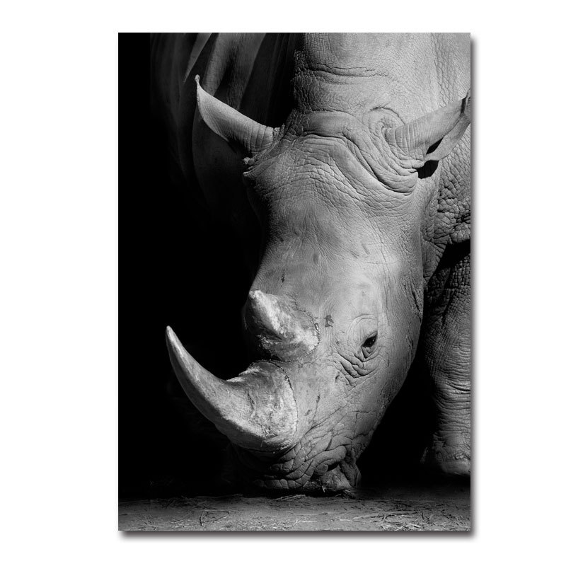 Black white animals oil painting canvas art poster and photo wall pictures of living room decoration home decor canvas painting