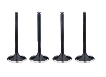 Durable Engine Intake Valve - OEM Quality
