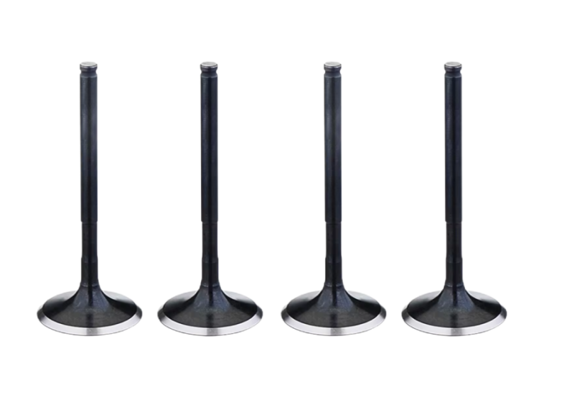 Durable Engine Intake Valve - OEM Quality