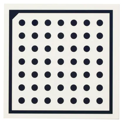 Dot Matrix Calibration Plate for Camera Visual Calibration