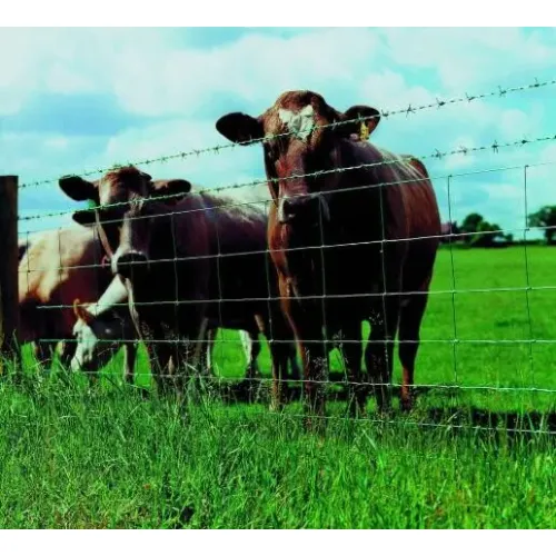 Cattle Fence/Horse Deer Fence/Grassland Field Fence