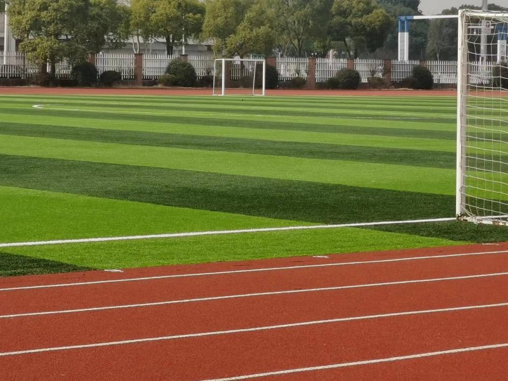 Artificial Grass
