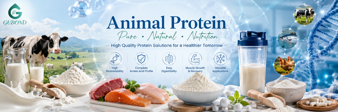 Animal protein