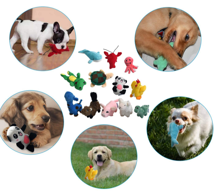 Squeaky Plush Dog Toy Pack for Puppy