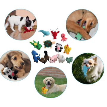 Squeaky Plush Dog Toy Pack för valp