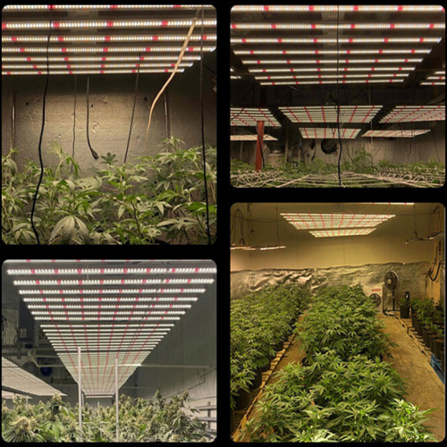 Commerce Grow Light Led 800W 8 Bar