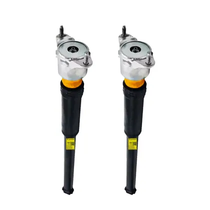Rear Car Shock Absorber Assembly for Clase A W176 & Clase B W246 (1763201931)