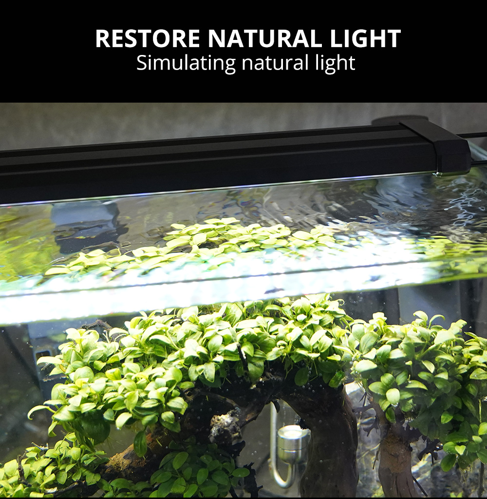 Led Aquarium Light