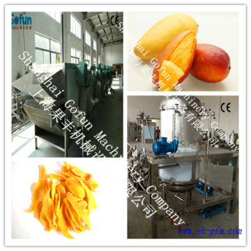 the professional supplier for industrial fruit dryer production line