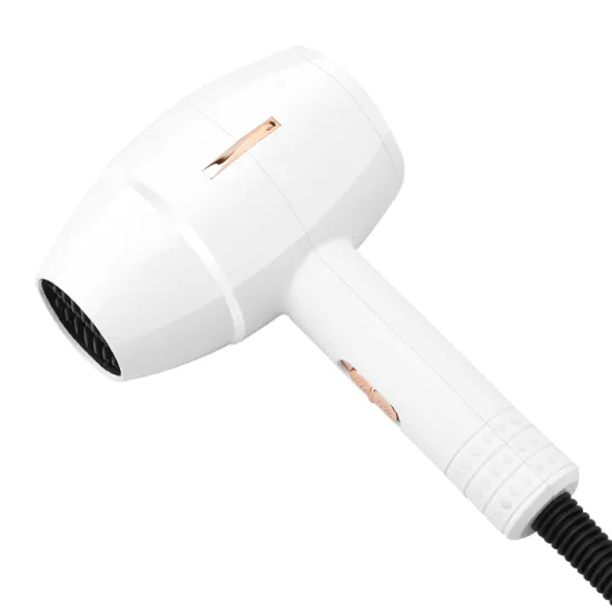 2025 Trend: Best Ultraviolet Hair Dryer - Hot Sale & Popular Choice