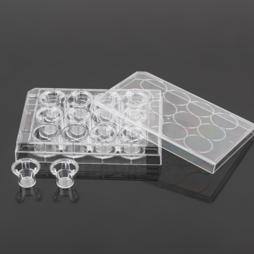 PET Memberane Cell Culture Inserts for 12-well plates