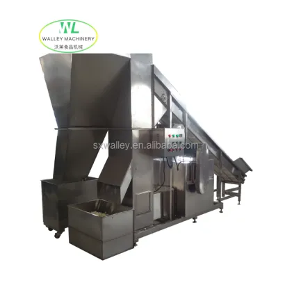 Hotsale Automatic Sweet-scented Osmanthus Fragrans Cleaning Machine