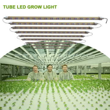 t8 Bloom Led Grow Light