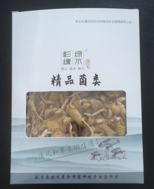 Elm Yellow Mushroom1