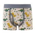 5pcs/set Kids Boys Underwear Cartoon Cotton Children's Shorts Panties Stripes Teenager