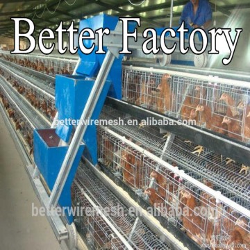 BETTER FACTORY 2015 new design Best-Selling automatic chicken cages for sale(direct factory)
