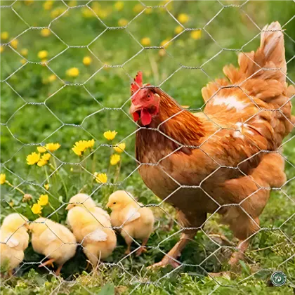 Chicken Wire Mesh: Floral Supplies, Fishing Nets, and Fencing