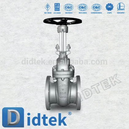 Didtek International Brand Power Plant 800# check valve