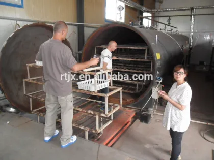 Double door autoclave steam sterilizer