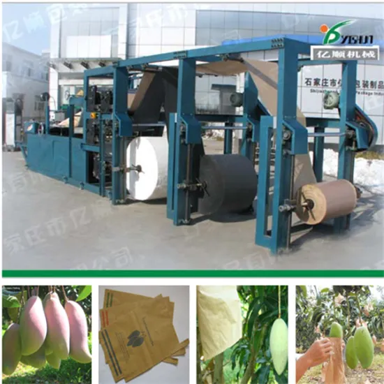 Mango protective bag making machine 12 years experience