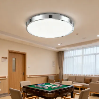 Modern Ceiling Lamp for Home Decoration