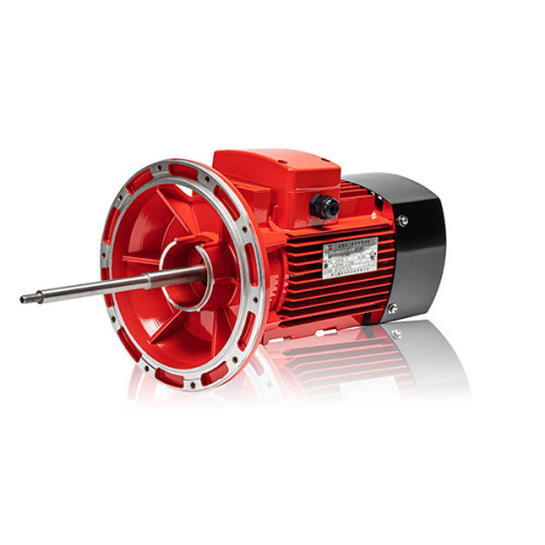 Motor de bomba de agua personalizado