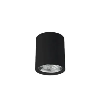 IP65 Waterproof Surface Mounted Downlight 20W/30W Ceiling Mount High Quality