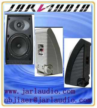 5"/6.5" Inch wall speaker