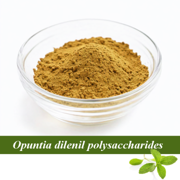 Moisturizing Raw Materials Opuntia dilenil polysaccharides