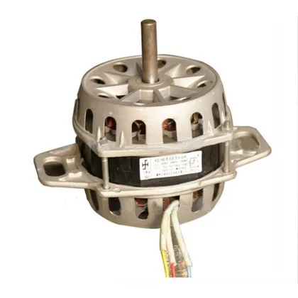 XD150 Washing Machine Motors: BLDC vs AC Induction