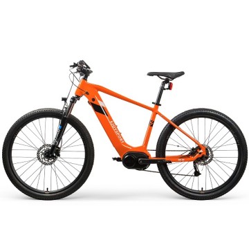 Bicicleta elétrica personalizada à venda