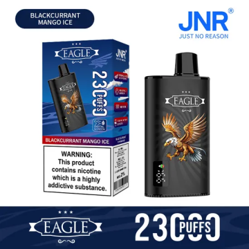 Jnr Eagle 23k Puffs Vape Desain Sendiri