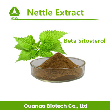 Nettle Leaf Extract 7% Sitosterol Powder Cas 7440-21-3