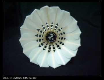 High quality water duck feather badminton shuttlecock D-6