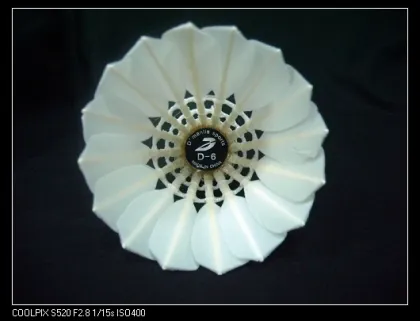 High quality water duck feather badminton shuttlecock D-6