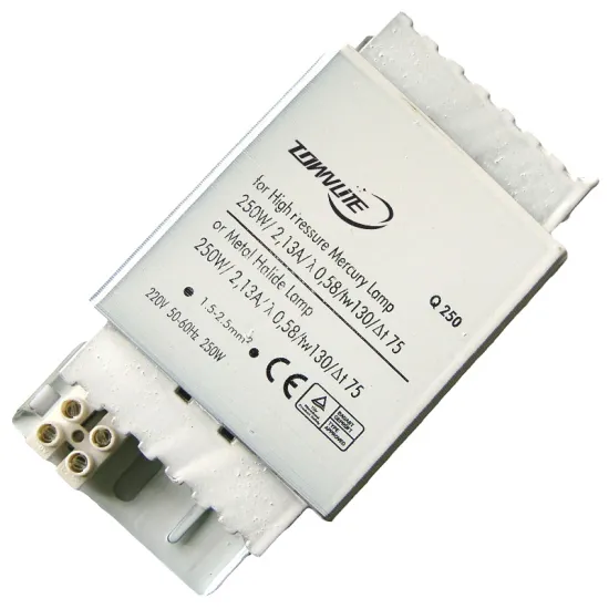 2021 New Metal Halide Ballast for 250W Metal Halide/Mercury Lamp