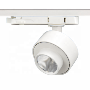 Ronse Lighting 2024 COB 트랙 조명 : 스마트, 쉬운 설치 및 경쟁력있는 가격