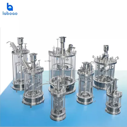 Semi-automatic Bioreactor Price - Customized Fermenter Mini Bioreactor for Laboratory